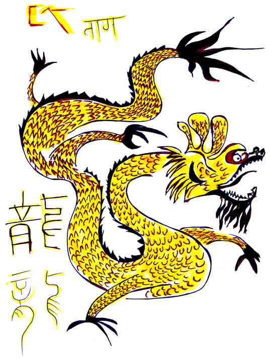Dragon