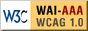 icon AAA conformance