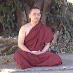 The monk Sīla Vanta in meditation posture at the foot of a big tree